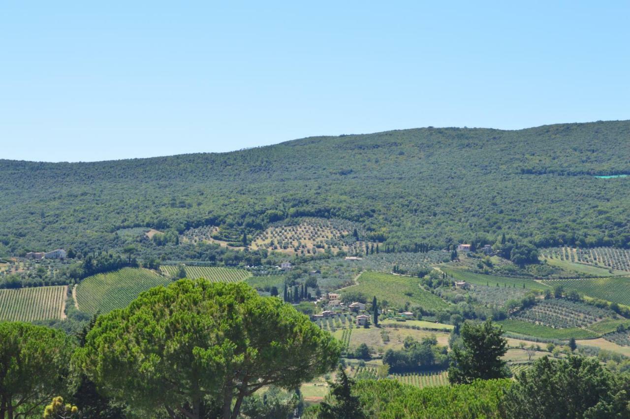 Damario Panorama Otel Panzano in Chianti Dış mekan fotoğraf